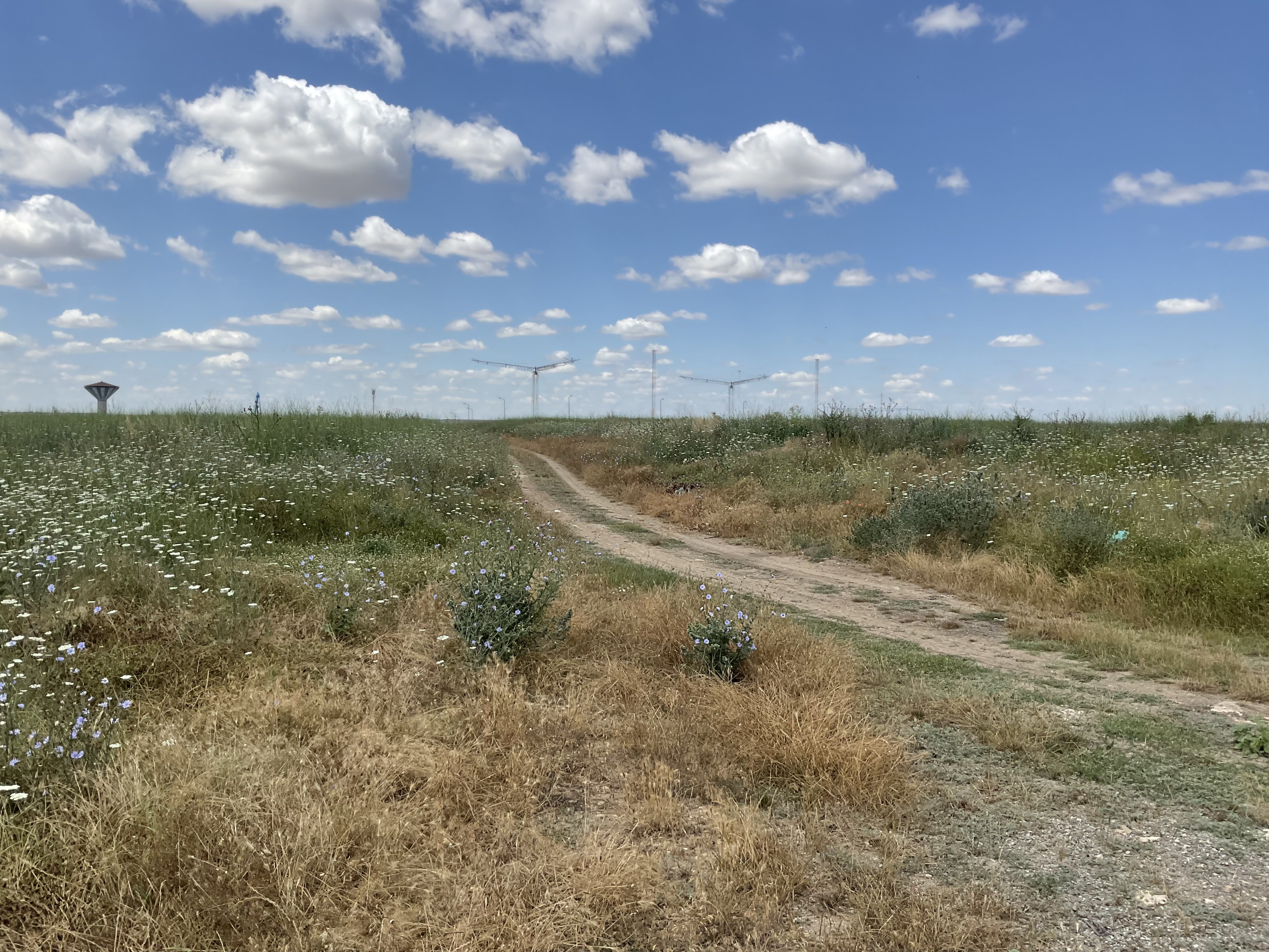 Teren intravilan liber 13408 mp în Mangalia, cartier Dobrogea I