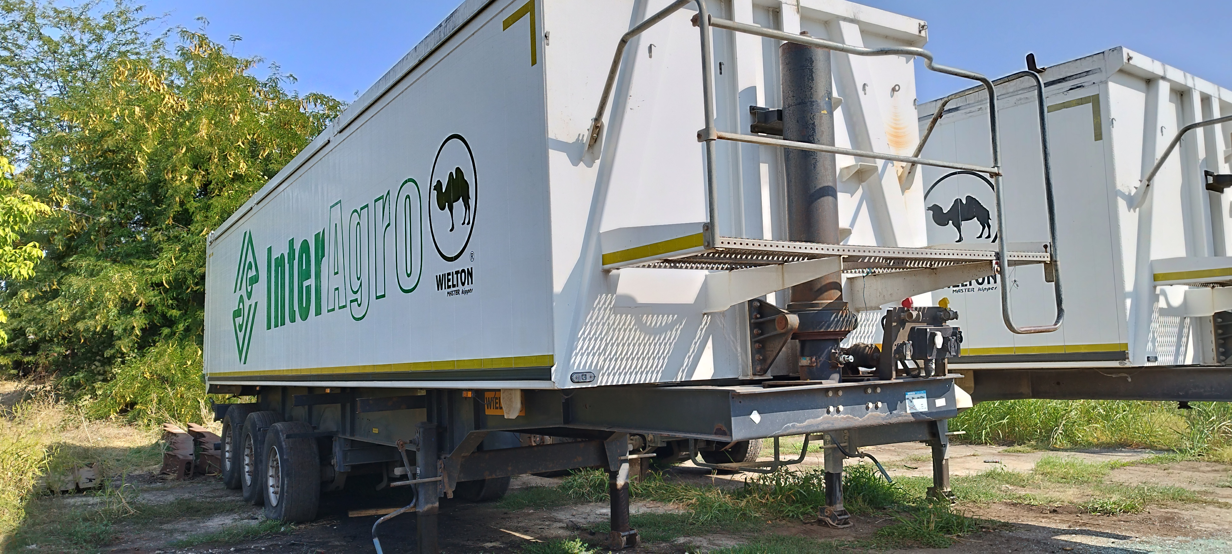 SEMIREMORCA BASCULANTA WIELTON TR79YNZ 