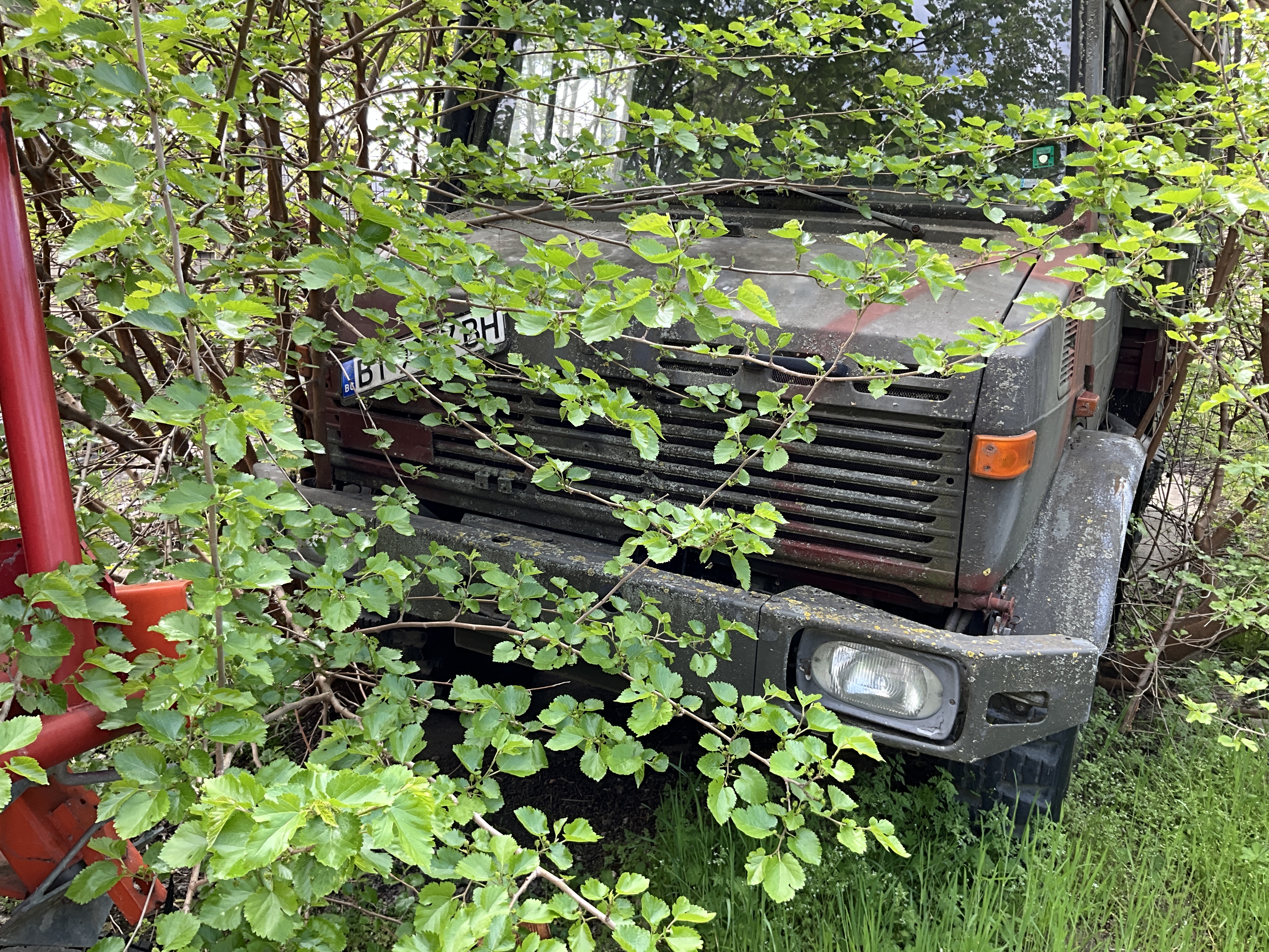 CAMIONETA 