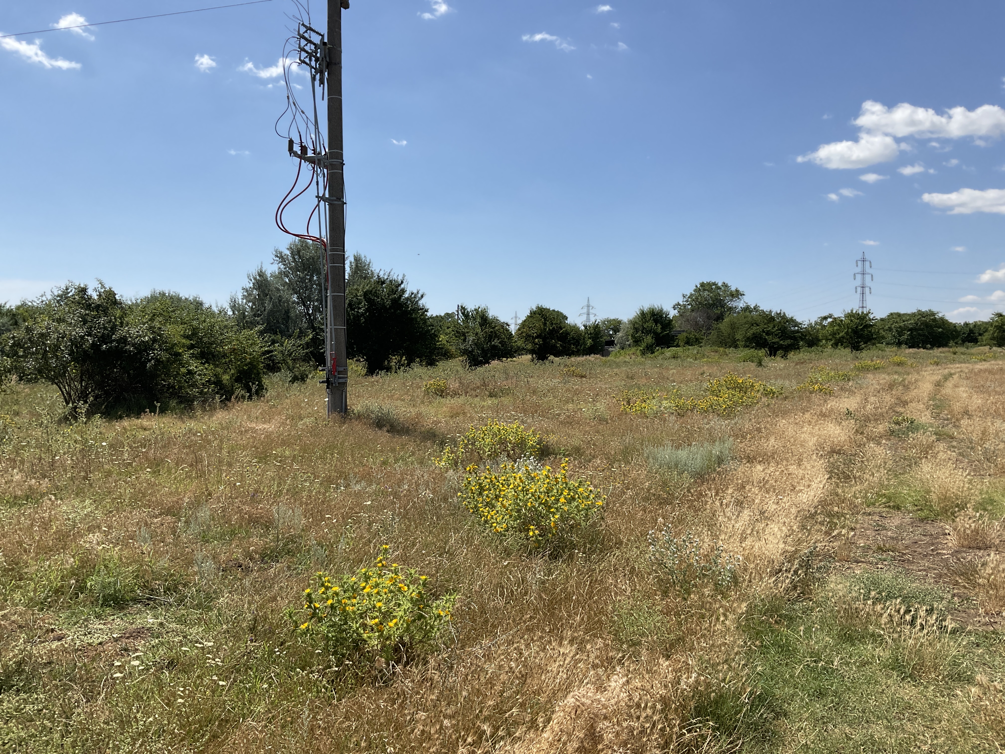 Teren intravilan liber 4 ha in Mangalia, Str Oborului FN