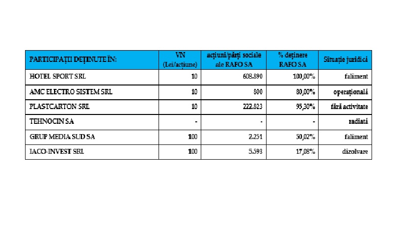 Participații deținute de RAFO SA în AMC Electro Sistem SRL